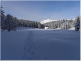 Tržič - Planina Zgornja Konjščica